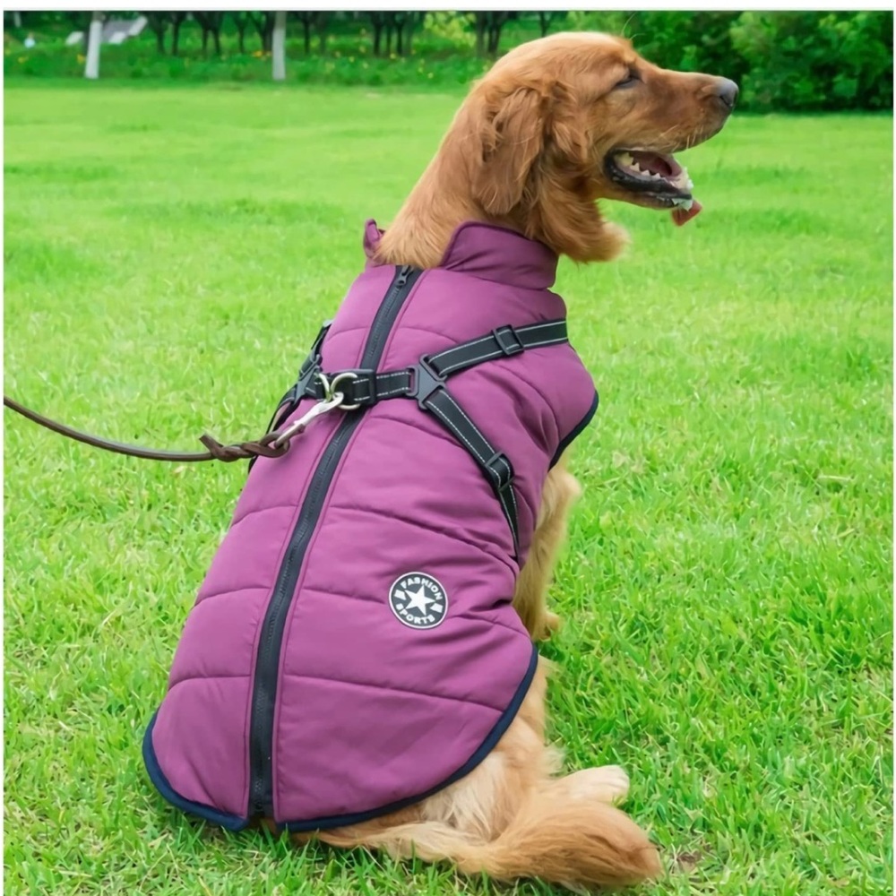 NWOT Dog Winter Coat and Harness